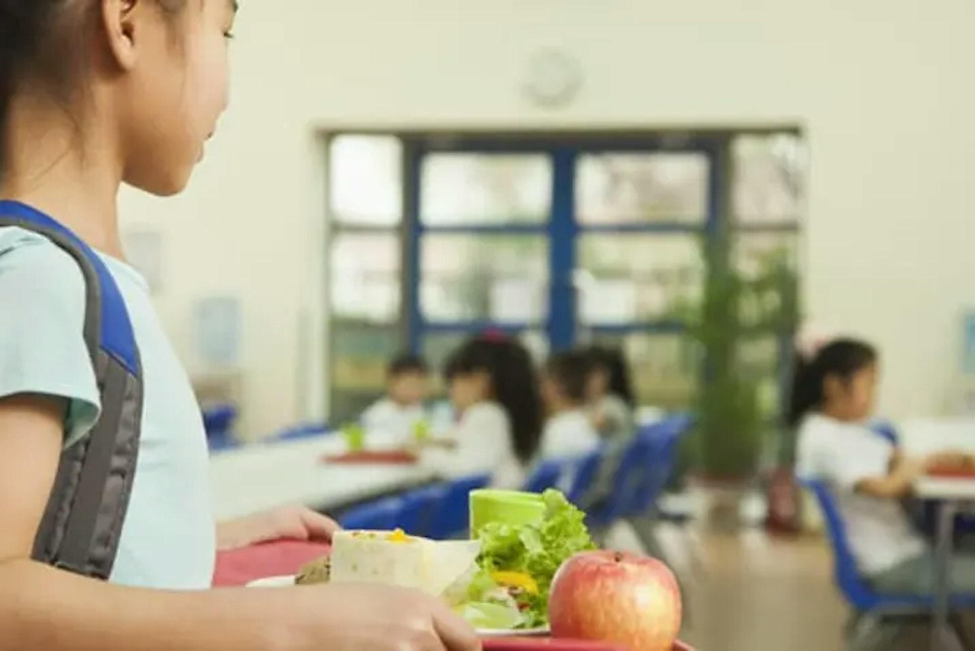 Leaving the Federal School Lunch Program